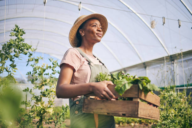 Smile, greenhouse and black woman on farm with vegetables in sustainable business, nature and sunshine. Agriculture, garden and happy female farmer in Africa, green plants and agro farming in field.